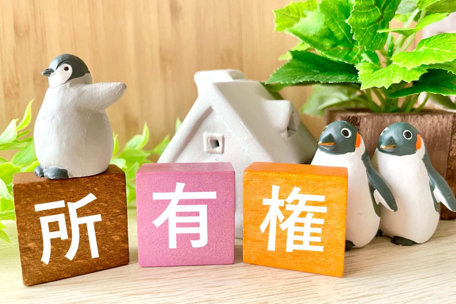 所有権　登記簿